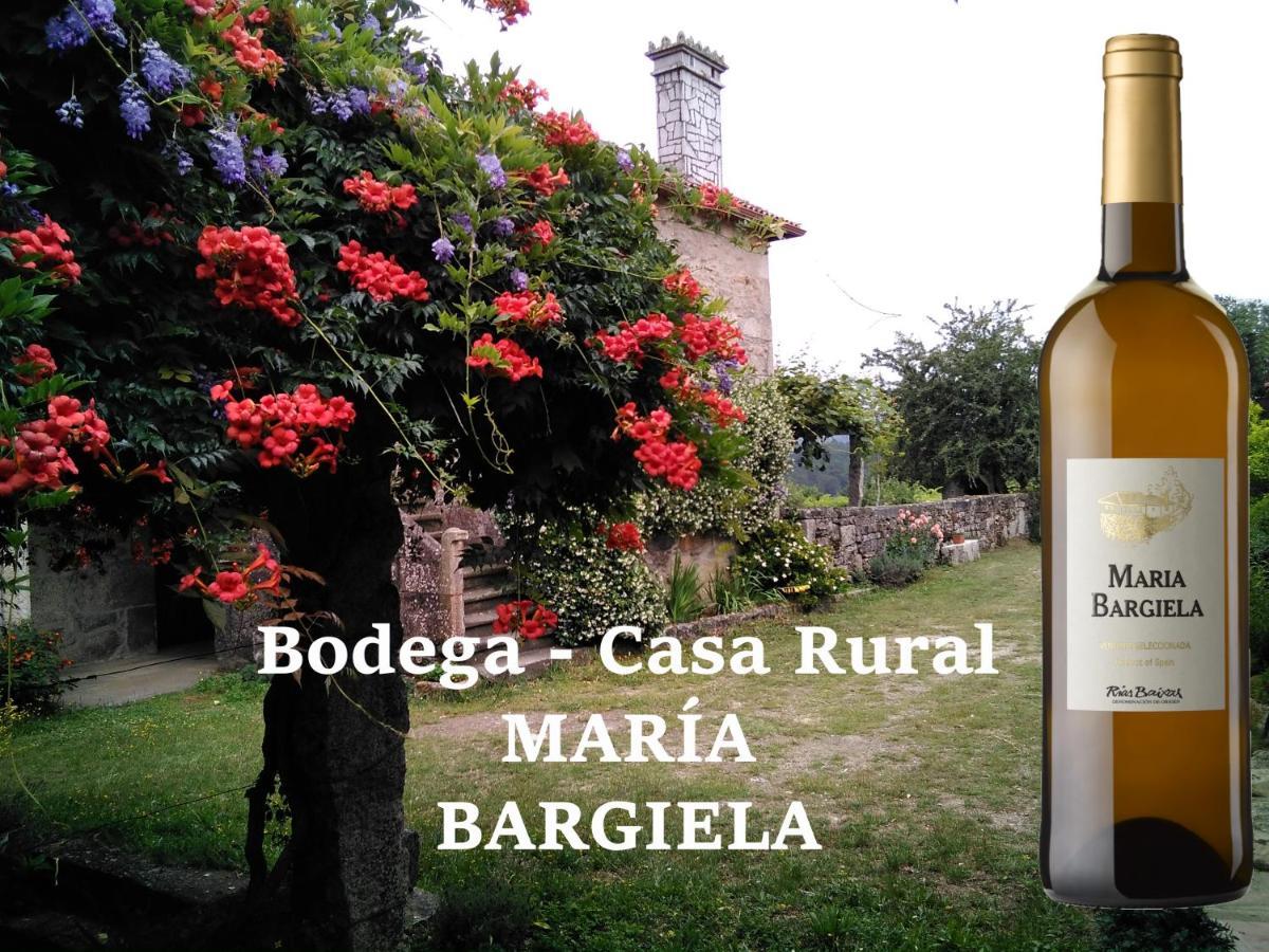 Maria Bargiela Country house *
