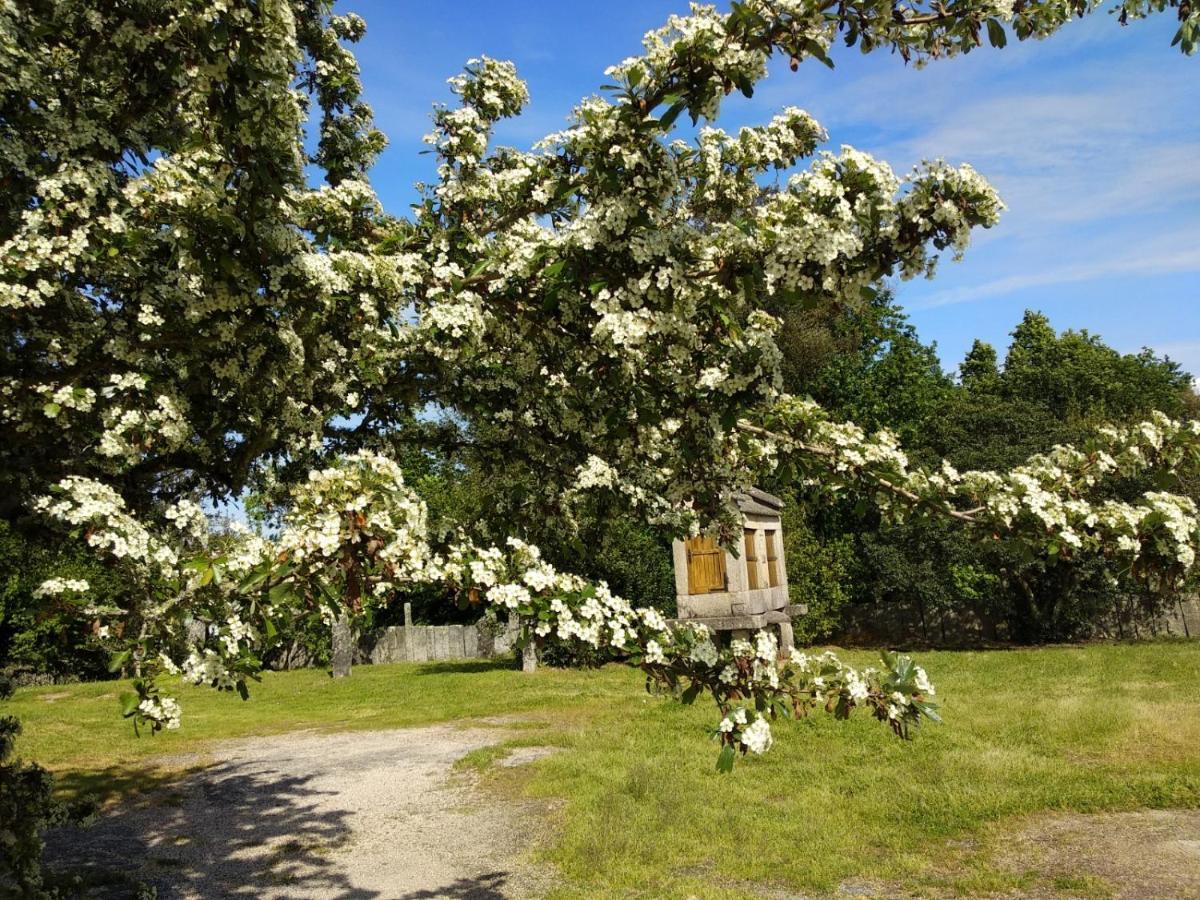 Maria Bargiela Casa de camp